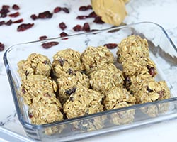 No-bake_Craisin_Coconut_Bites